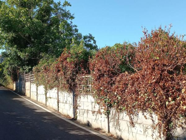 Terreno en Gandarío