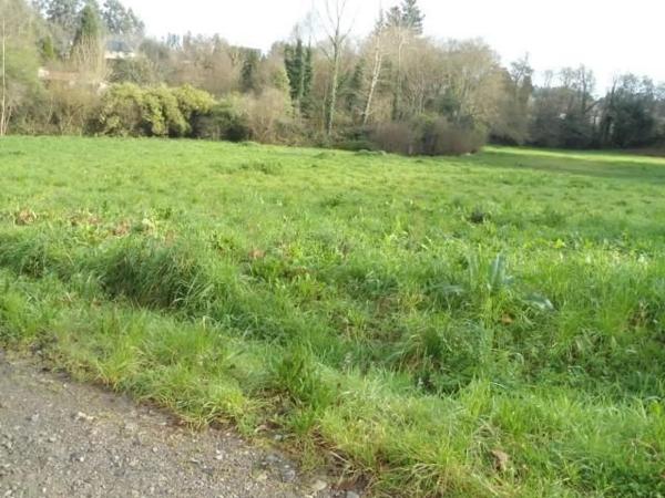 Terreno en calle Seara
