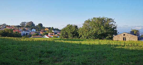Terreno en calle Xastre, 4