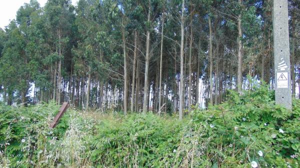 Terreno en N-vi, km 581