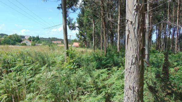 Terreno en N-vi, km 581