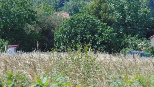 Terreno en N-vi, km 581