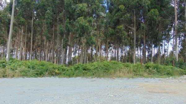 Terreno en N-vi, km 581