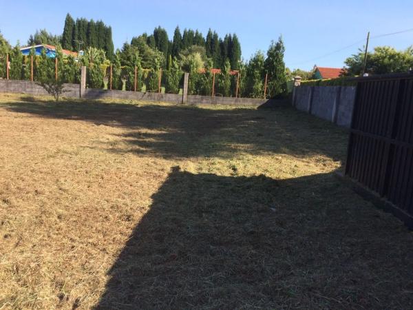 Terreno en Gacela, 3