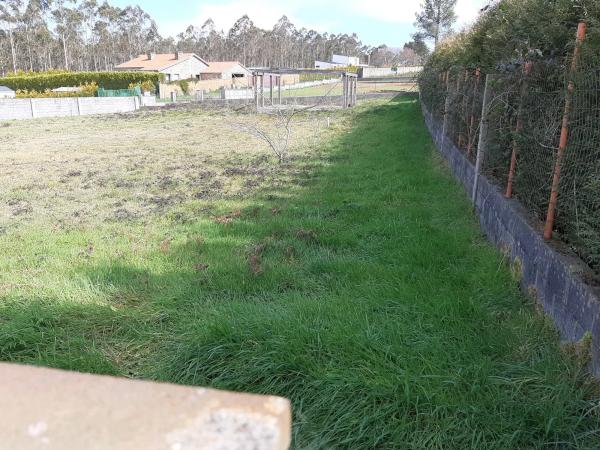 Terreno en Gacela, 3