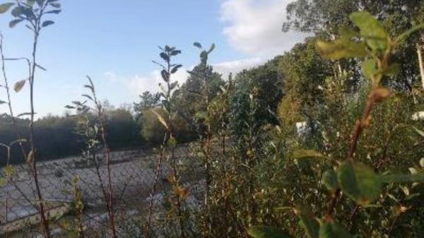 Terreno en Lugar Brañas, 1