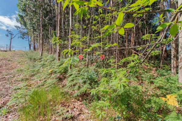 Terreno en Castro de Subiña