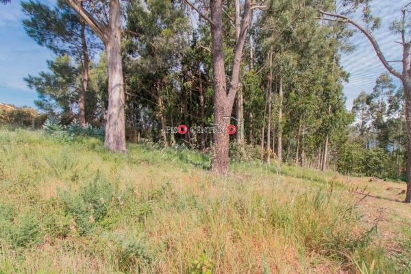 Terreno en Castro de Subiña