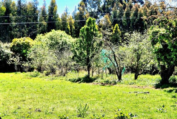 Terreno en De Carnoedo