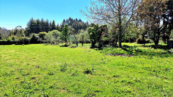 Terreno en De Carnoedo