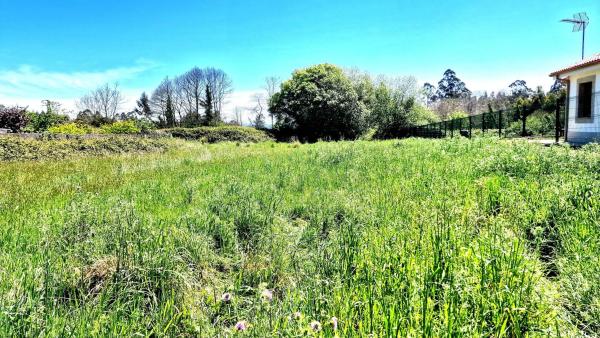 Terreno en De Carnoedo