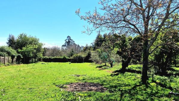 Terreno en De Carnoedo