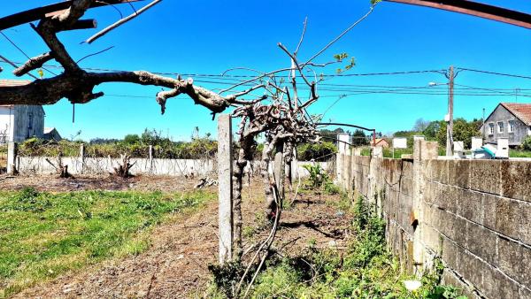 Terreno en De Carnoedo