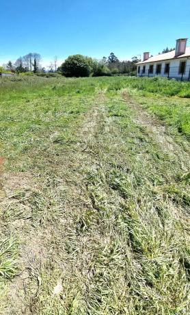 Terreno en De Carnoedo