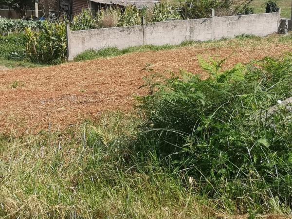 Terreno en Orro s/n sn