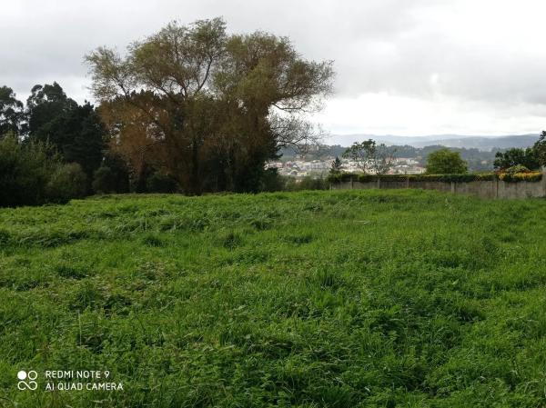 Terreno en Benito Feijoo, 1