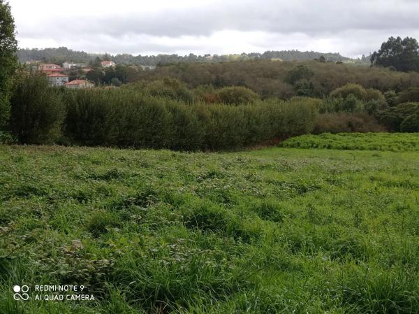 Terreno en Benito Feijoo, 1