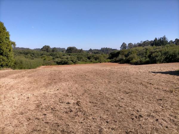 Terreno en Benito Feijoo, 1