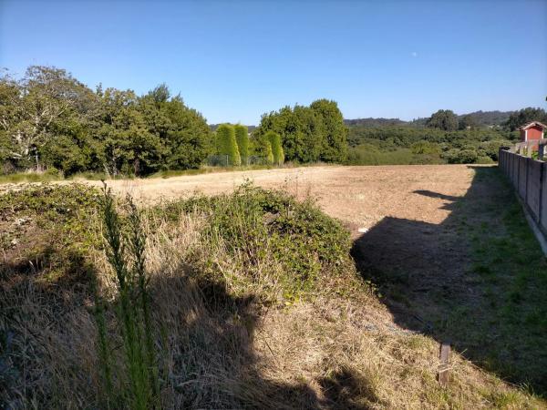 Terreno en Benito Feijoo, 1