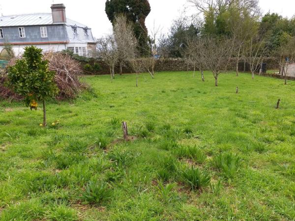 Terreno en Lugar Fontemaior, 33