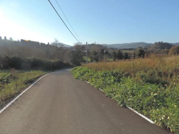 Terreno en lugar de roris