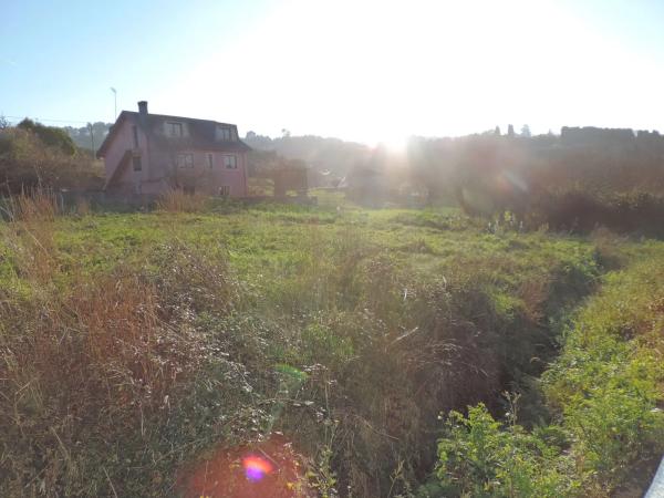 Terreno en lugar de roris