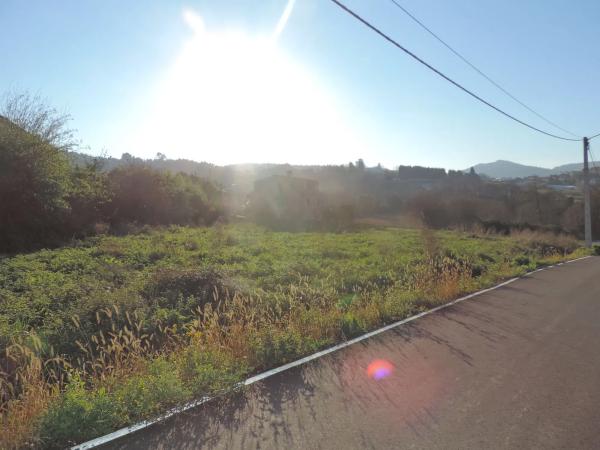 Terreno en lugar de roris