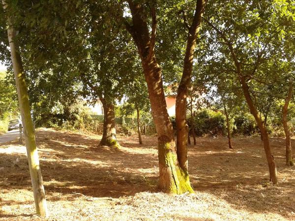 Terreno en Lugar de Penedo (San Tirso de Mabegondo) s/n