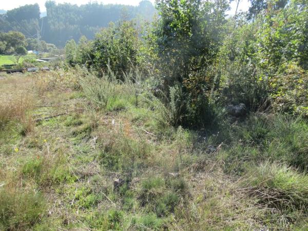 Terreno en Centro de Culleredo