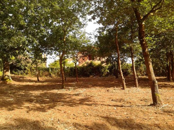 Terreno en Lugar de Penedo (San Tirso de Mabegondo) s/n