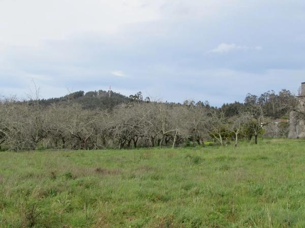 Terreno en Aldea Cortes, 20