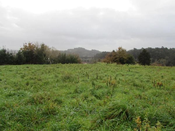 Terreno en Aldea Cortes, 20