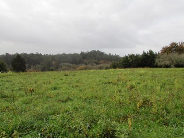 Terreno en Aldea Cortes, 20