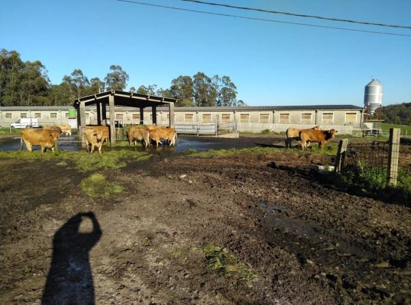 Terreno en Canzobre s/n