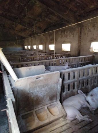 Terreno en Canzobre s/n