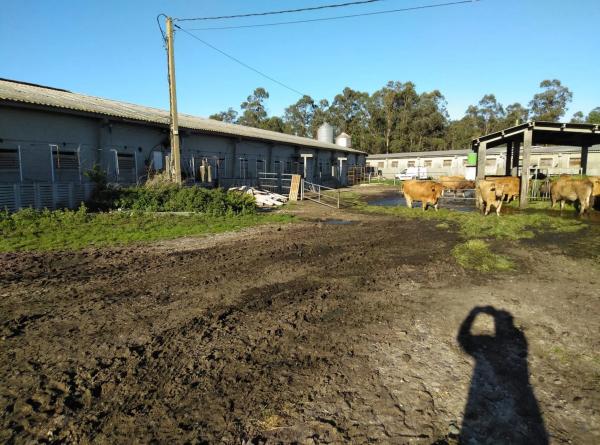 Terreno en Canzobre s/n