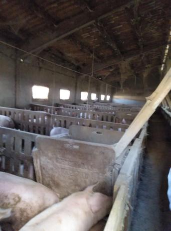 Terreno en Canzobre s/n