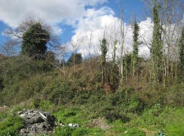 Terreno en avenida Corveira s/n