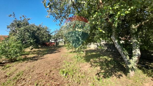 Terreno en Aldea Seixeda s/n