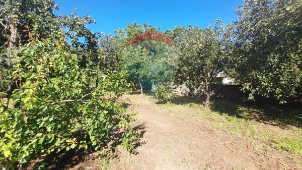 Terreno en Aldea Seixeda s/n