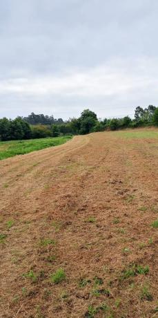 Terreno en Aldea Bergondiño, 46 -11