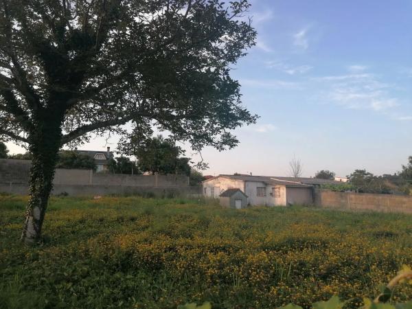 Terreno en calle pedras, 28