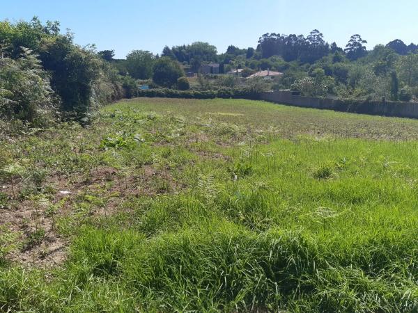 Terreno en Fontedouro s/n
