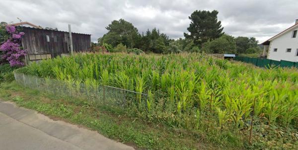 Terreno en calle Esqueiro, 4
