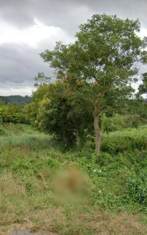 Terreno en Dp-5813, 1