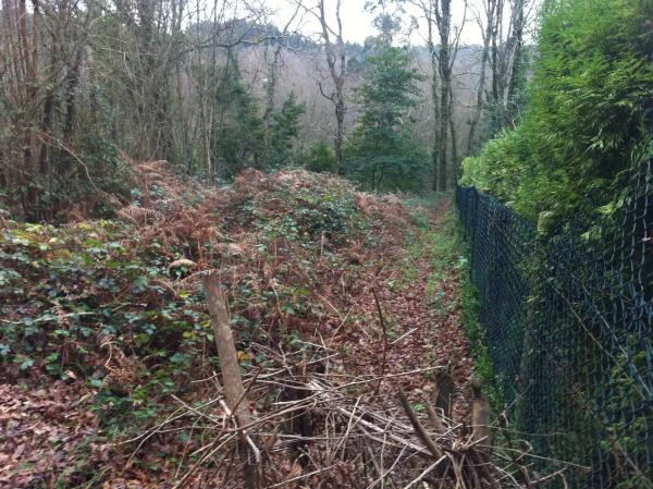 Terreno en piñeiro, 4 a