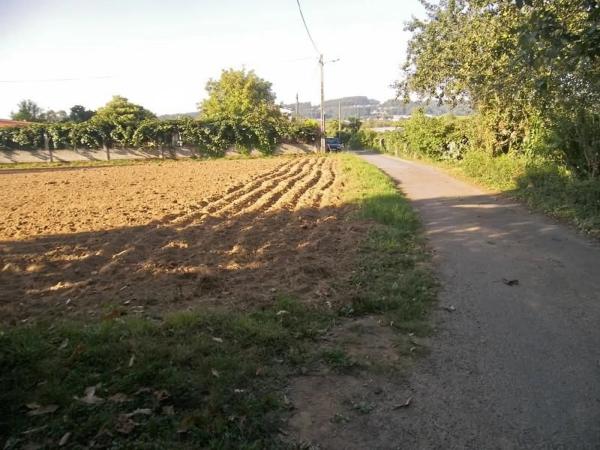 Terreno en Lugar Fortiñon