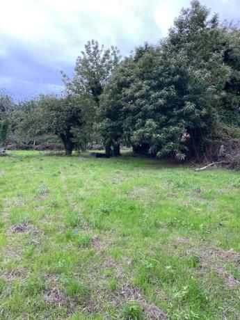 Terreno en Lugar Moruxo S/n s/n Sn