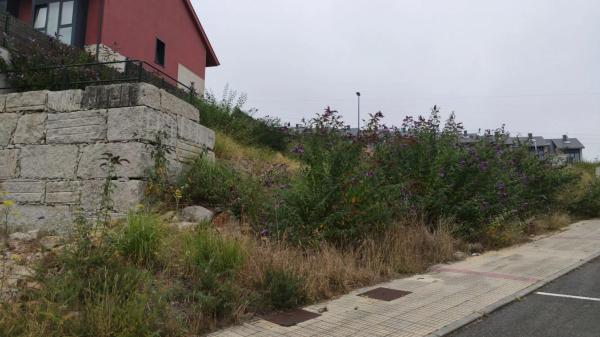 Terreno en calle Lois Pereiro, 1