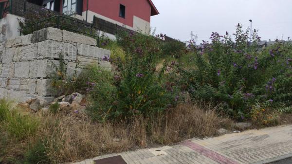 Terreno en calle Lois Pereiro, 1